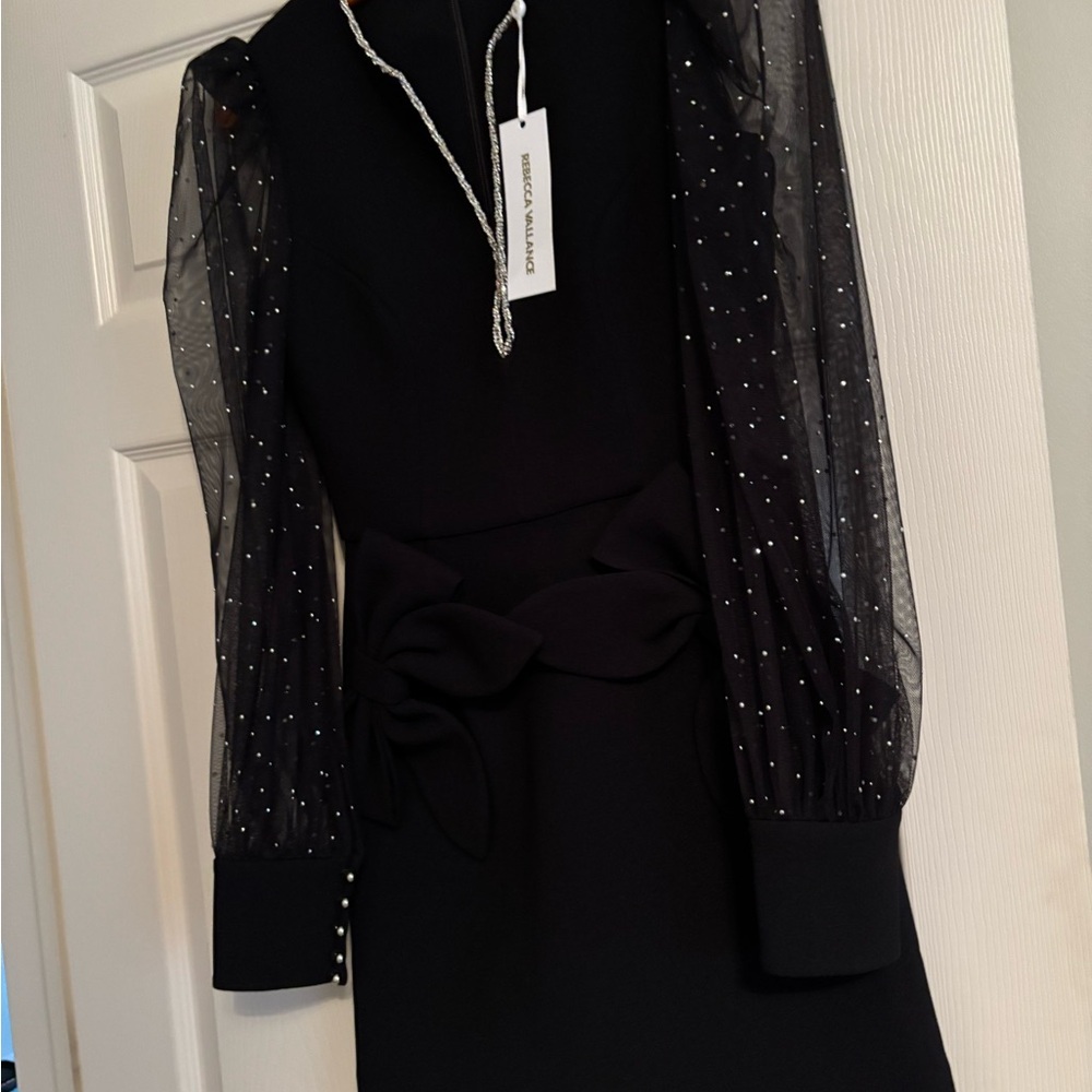 Elegant Black Dress with Sheer Sleeves - Picture 8 of 11